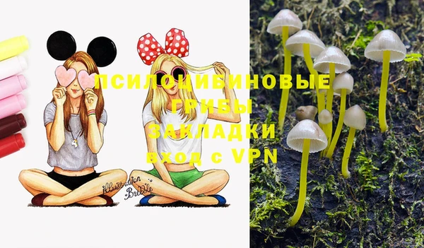 mix Алексеевка