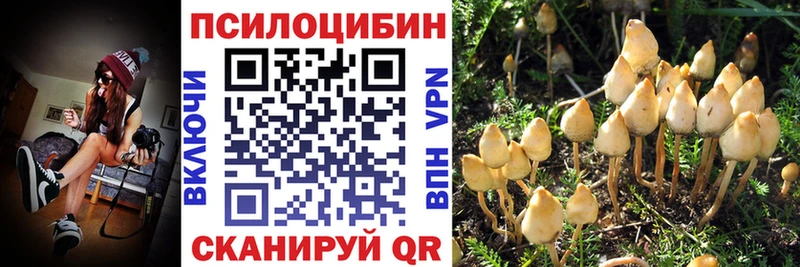 kraken ссылки  купить наркотики цена  Анжеро-Судженск  Псилоцибиновые грибы MAGIC MUSHROOMS 