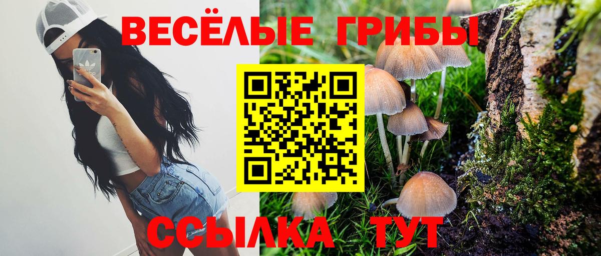 Псилоцибиновые грибы Cubensis  Псилоцибиновые грибы прущие грибы  Вход с VPN  Анжеро-Судженск 